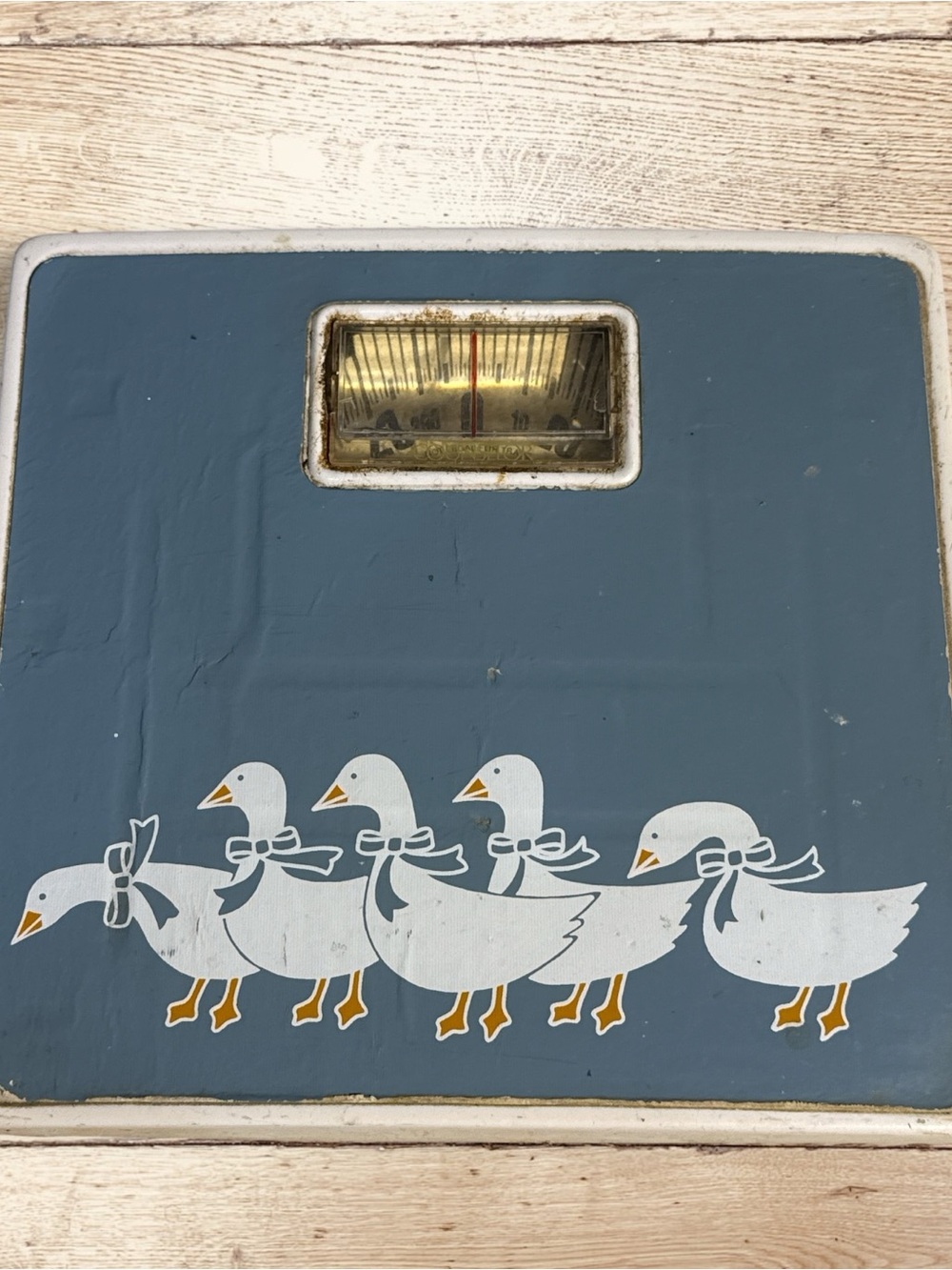 Vintage Counselor Working Bathroom Scale Blue Goose Geese Retro Cottagecore Deco